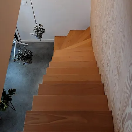 Cosy & Modern Historical In Old Town - Leon 4p Antwerp
